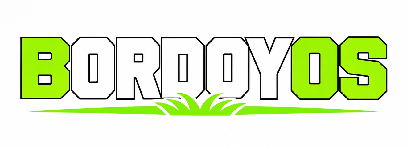 BordoyOS